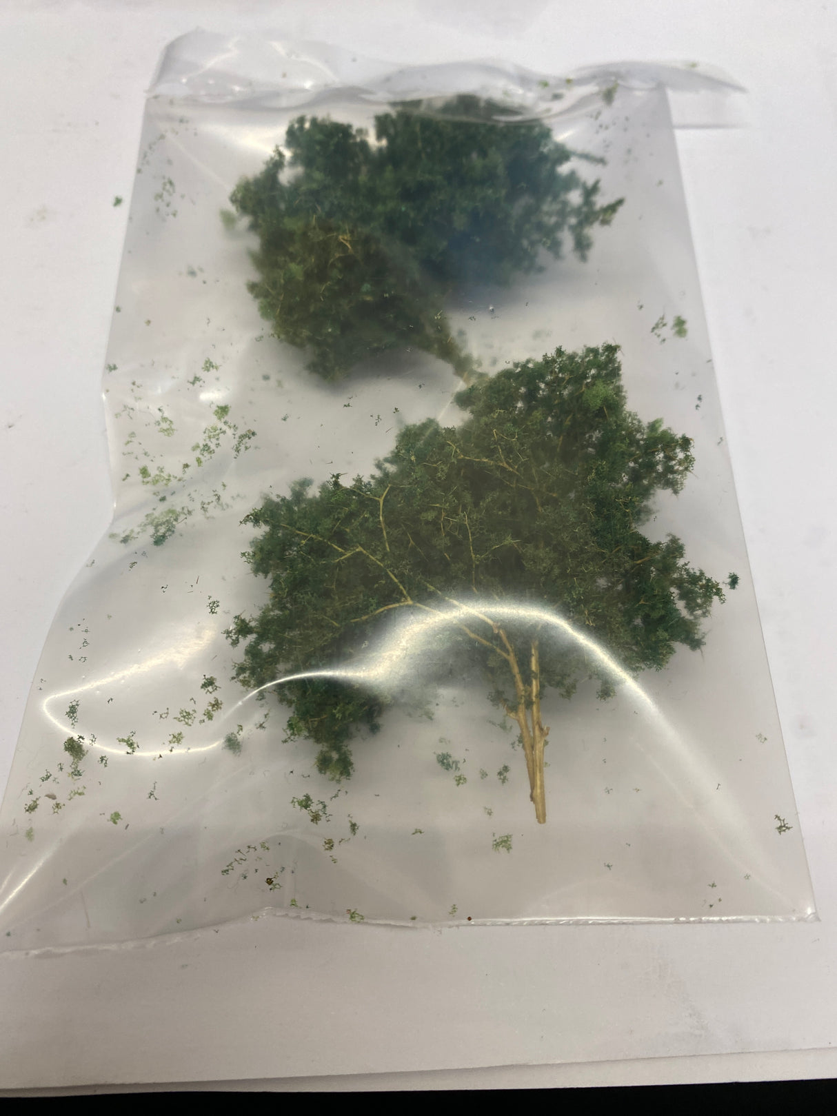 JORDAN NATURAL TREE - Pair of Small