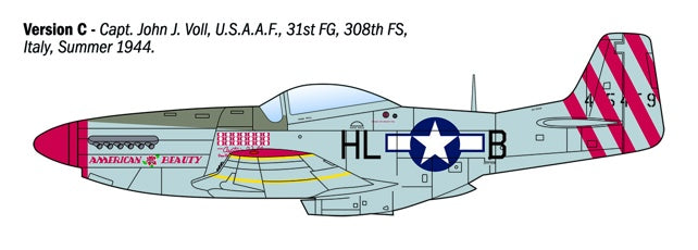 Italerai 1/72 P-51D Mustang Aces kit 1484