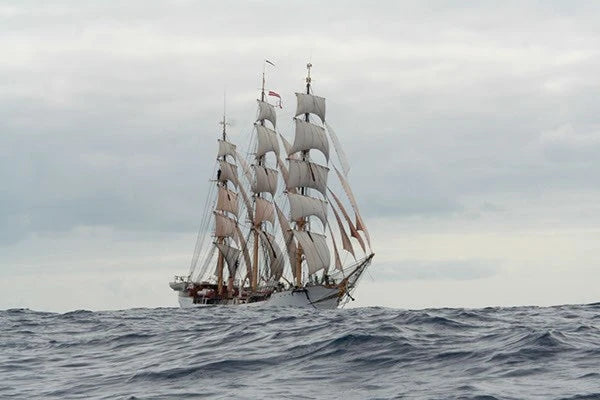 Billing Boats BB5005 1:75 Danmark - Wooden hull Kit 438756