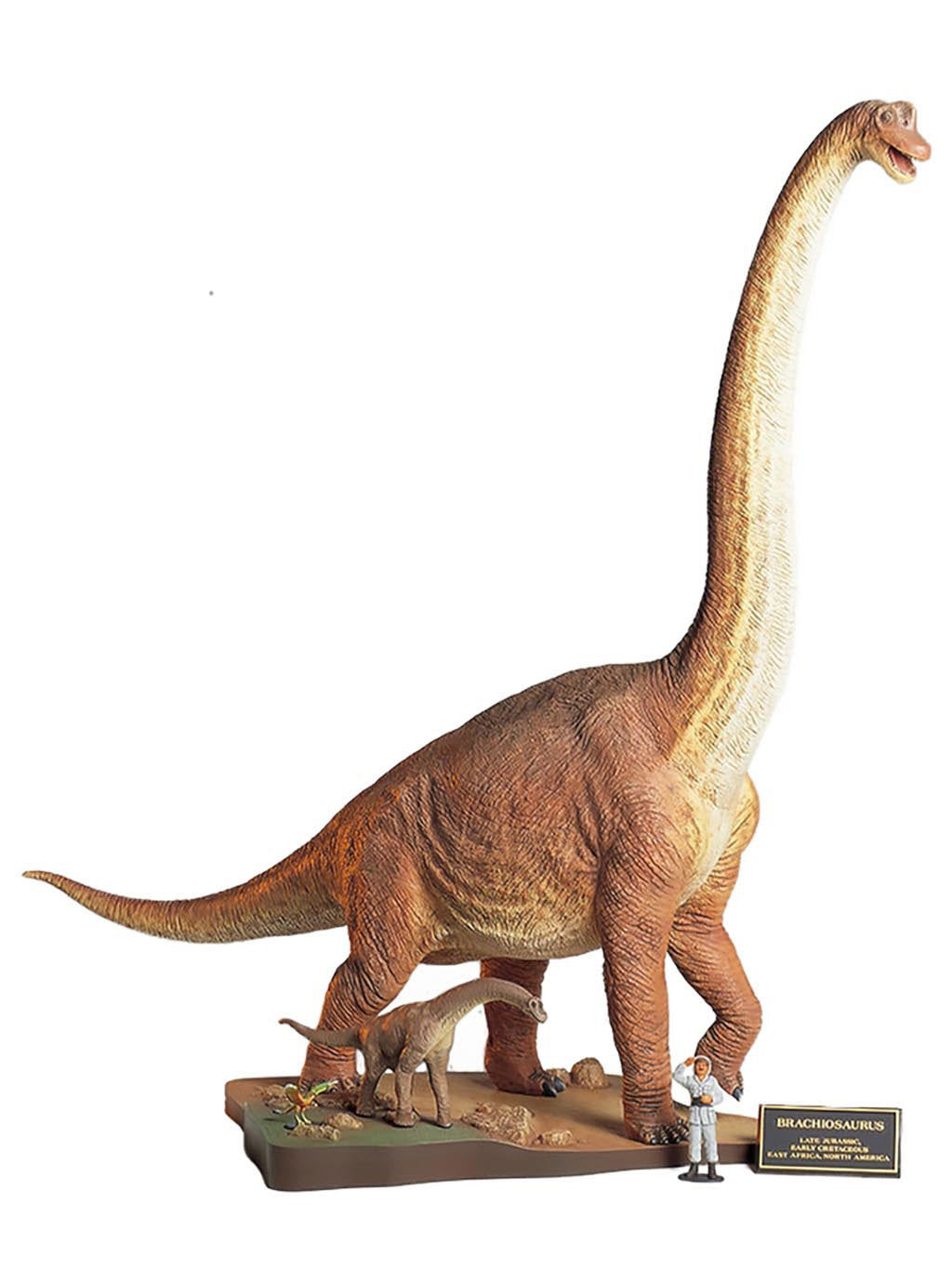 TAMIYA Brachiosaurus Diorama 1/35