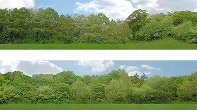 149 B 00 GAUGE 15 TREES