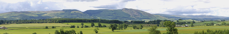 208NB N GAUGE HILLS & DALES 9 HIGH BACKSCENE