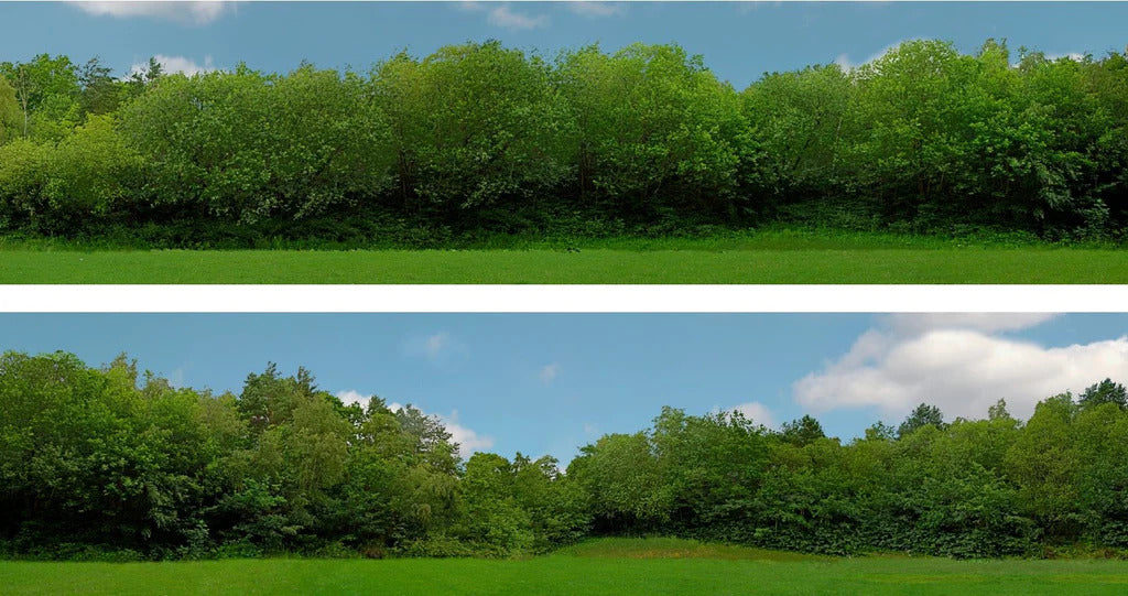 95291 Tall Trees 149C OO Gauge 15 High Backscene