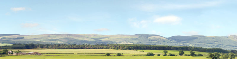 P207D PREMIUM HILLS & DALES OO 15 BACKSCENE