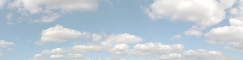 P501A PREMIUM SUMMER SKY OO 15 BACKSCENE