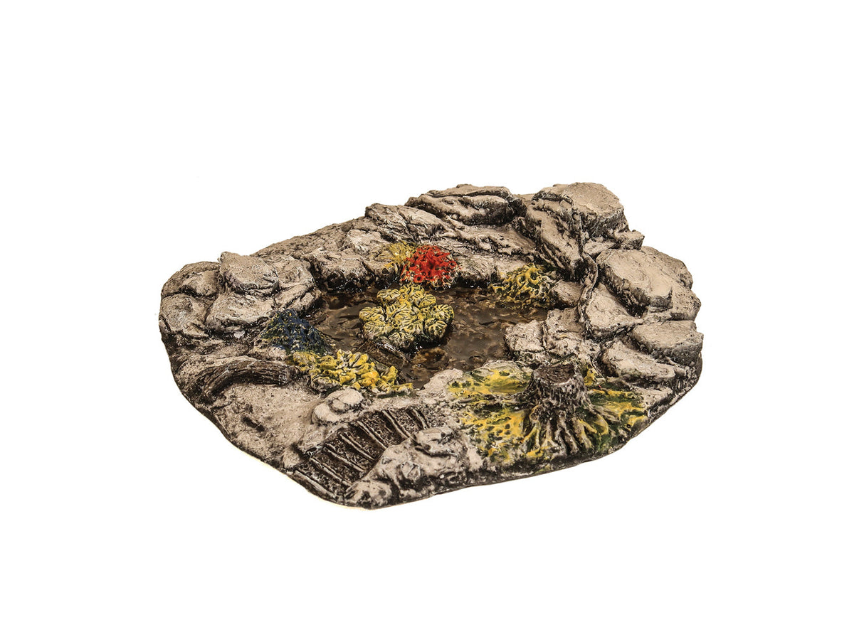 Small Pond with water lillies