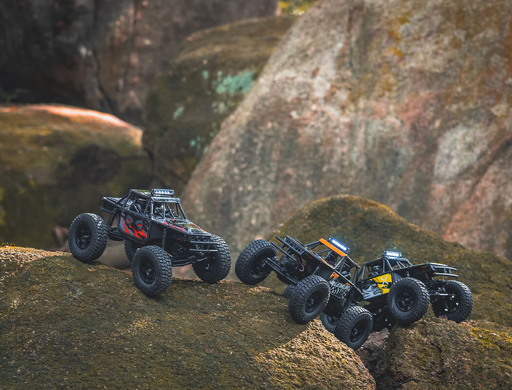 FMS FCX24 1/24TH LEMUR SCALER RTR - RED