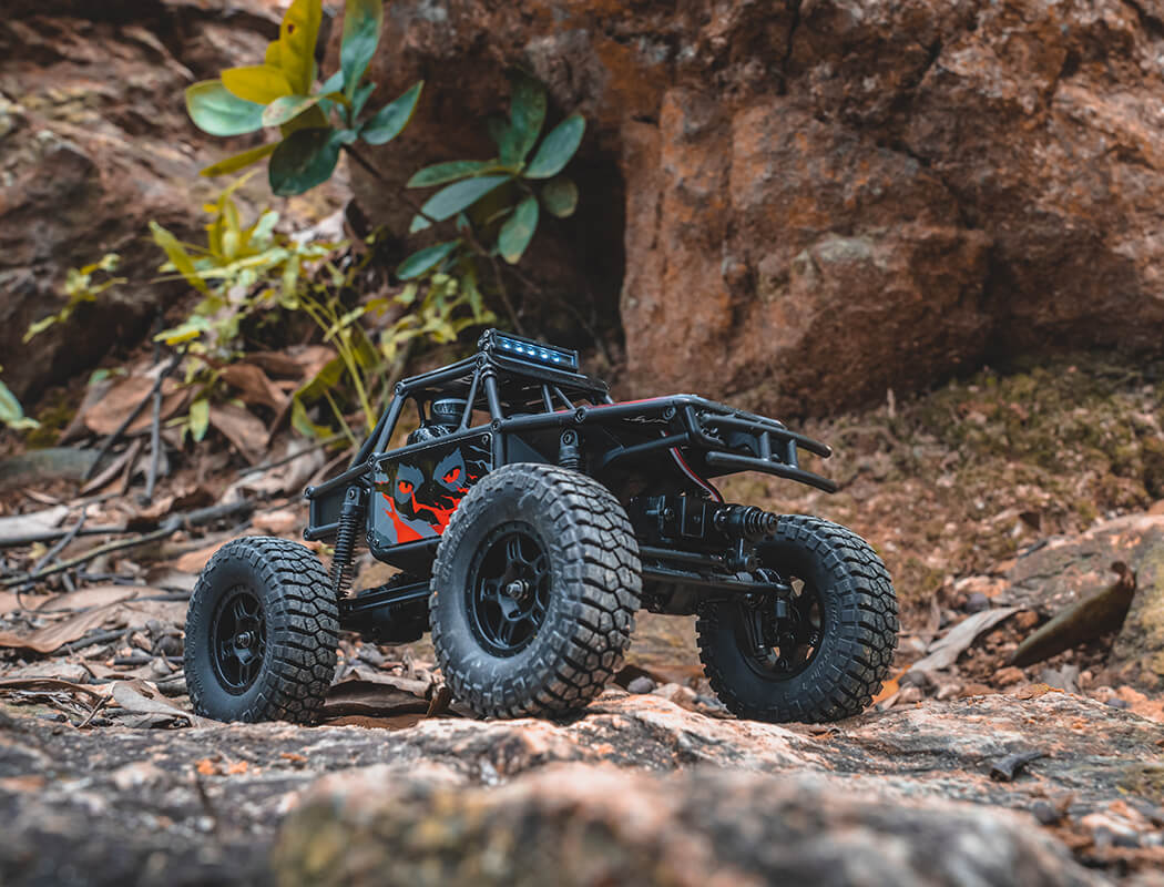 FMS FCX24 1/24TH LEMUR SCALER RTR - RED