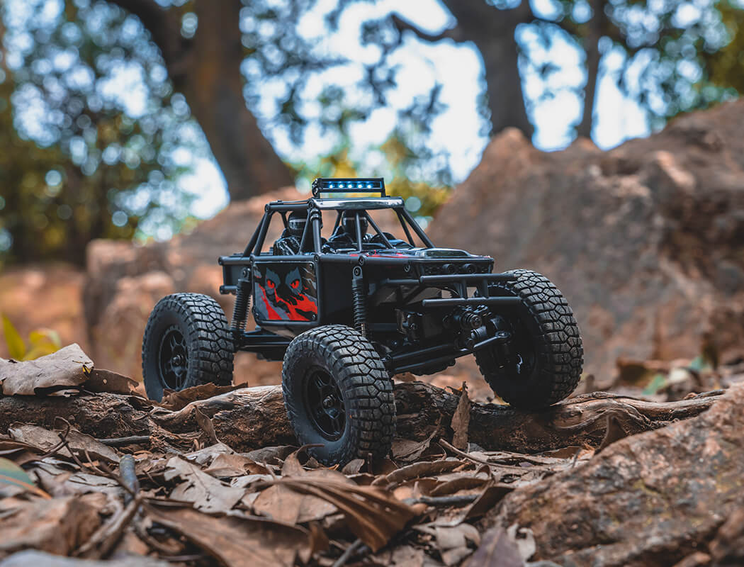 FMS FCX24 1/24TH LEMUR SCALER RTR - RED