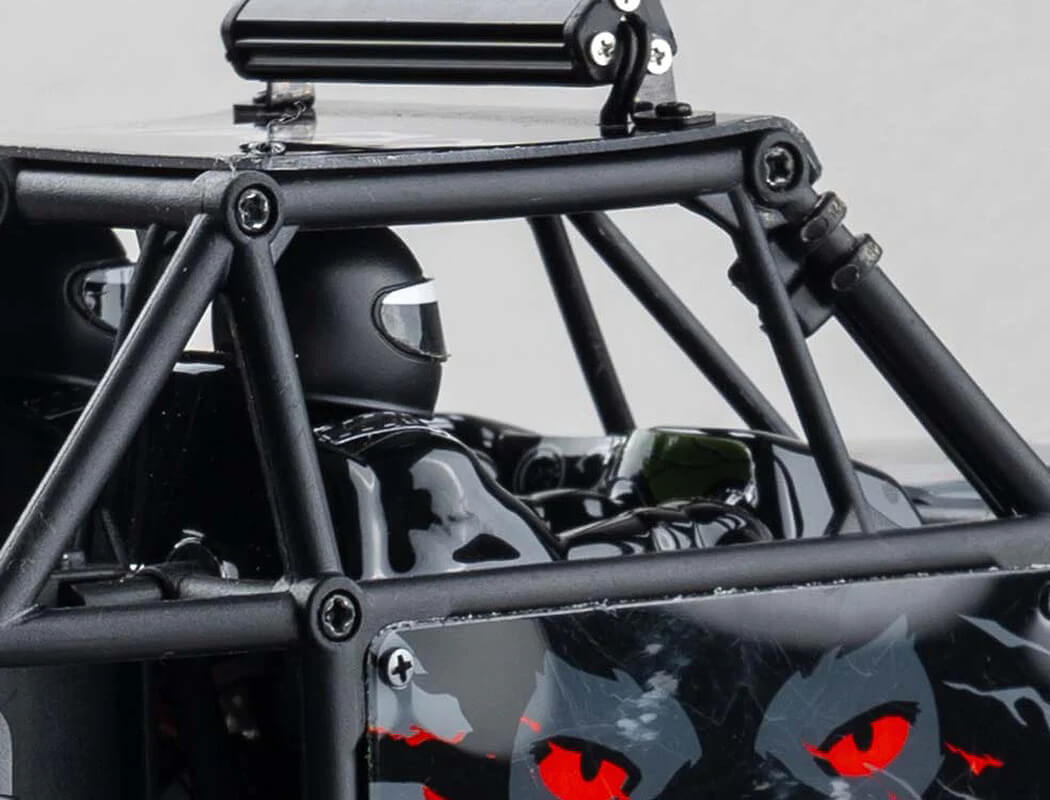 FMS FCX24 1/24TH LEMUR SCALER RTR - RED