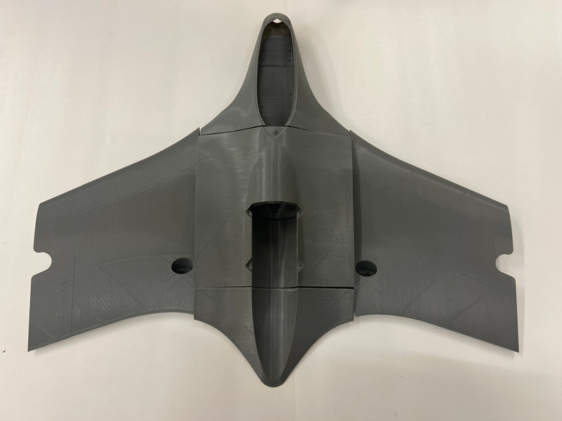 3D Printed Flying EDF Wing Model