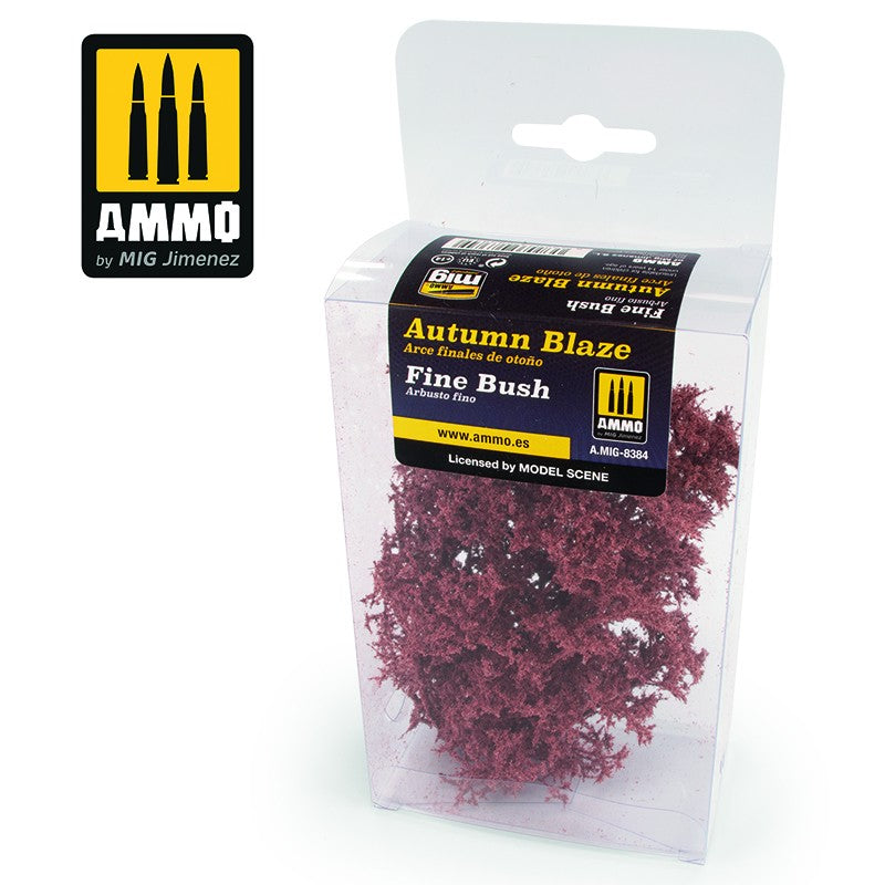 Fine Bush - Autumn Blaze