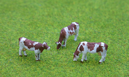 Cows