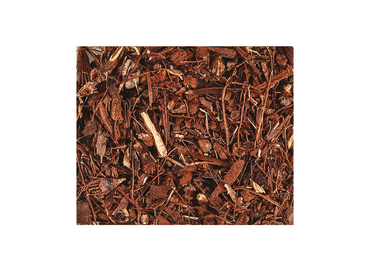 Woodland Ground Cover