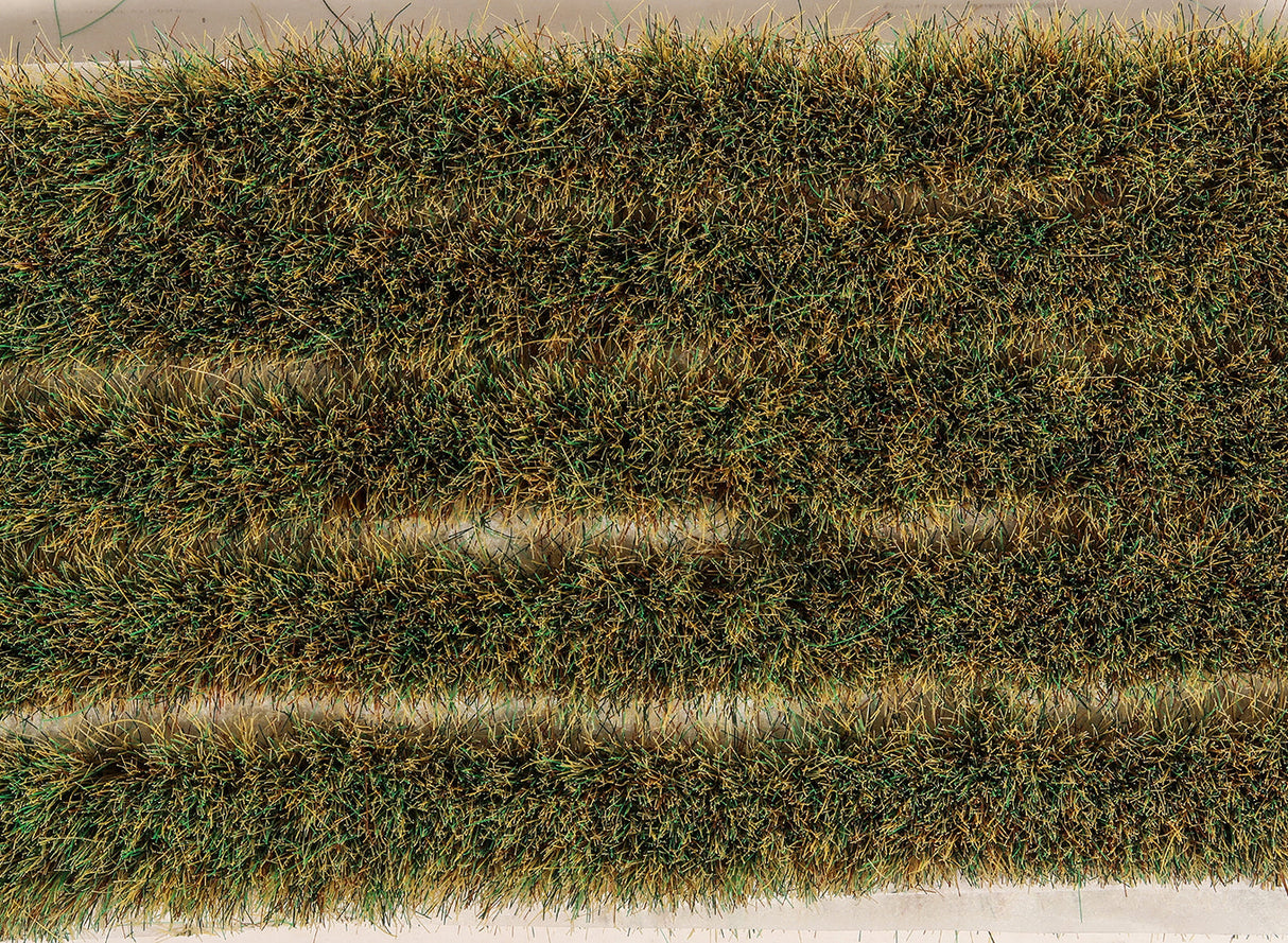 10mm Marshland