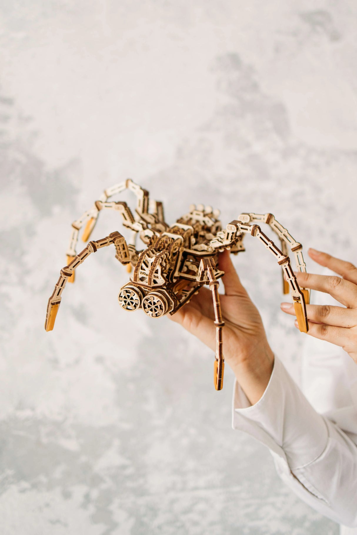 Wood Trick Space Spider Kit