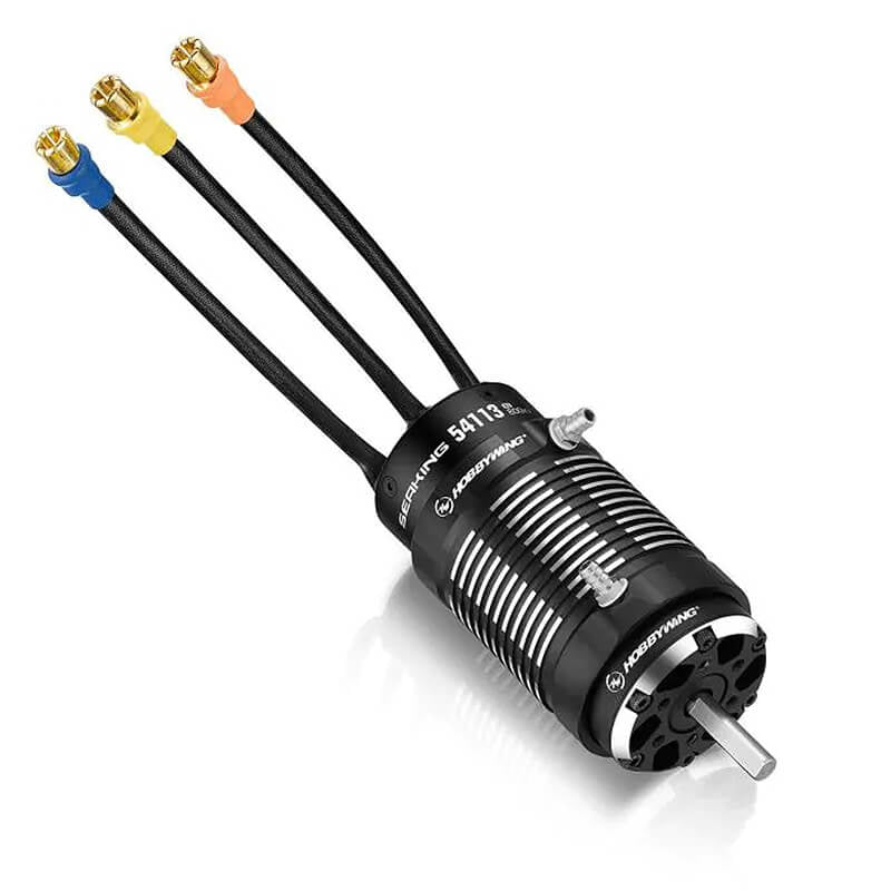 HOBBYWING SEAKING 54113SL800KV BLACK MOTOR V2