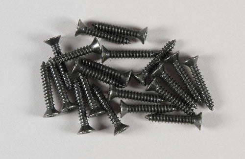 FG Modellsport Car Spares C.Sunk Torx Screw 4.2x25mm (Pk20) 06912/25 (Box 38)