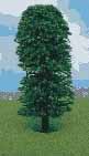 Javis JT1 Large Oak Tree