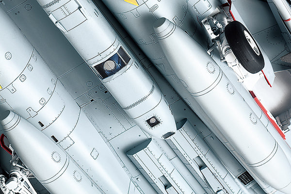 Tamiya 1/48 Grumman F-14D Tomcat 61118