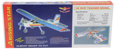 Seagull Arising Star