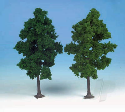 1202 2 Beech Trees 19cm (Dark Green)