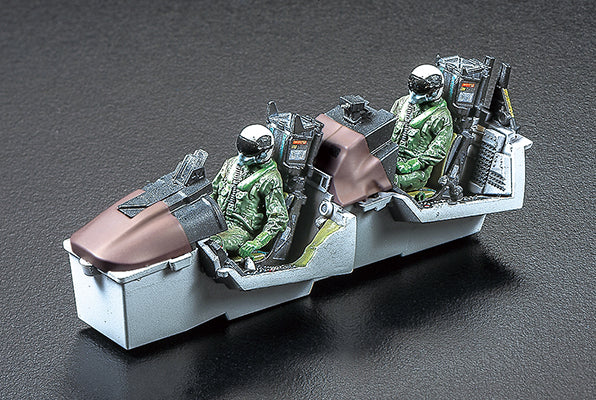 Tamiya 1/48 Grumman F-14D Tomcat 61118