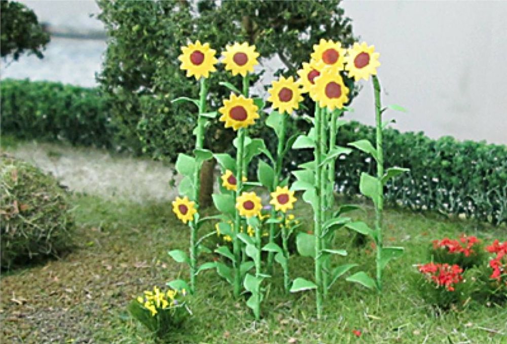 Tasma 00676 Sunflowers 16/pk