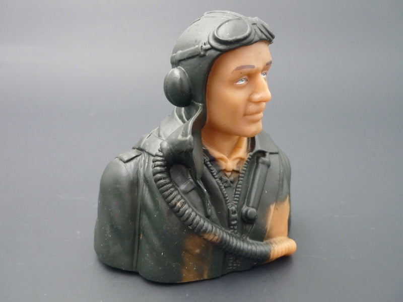 1/6 WWII German WWII prime paint pilots Painted Eyes with base coat need finishing