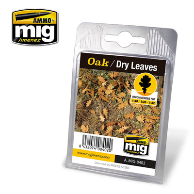 OAK DRY LEAVES