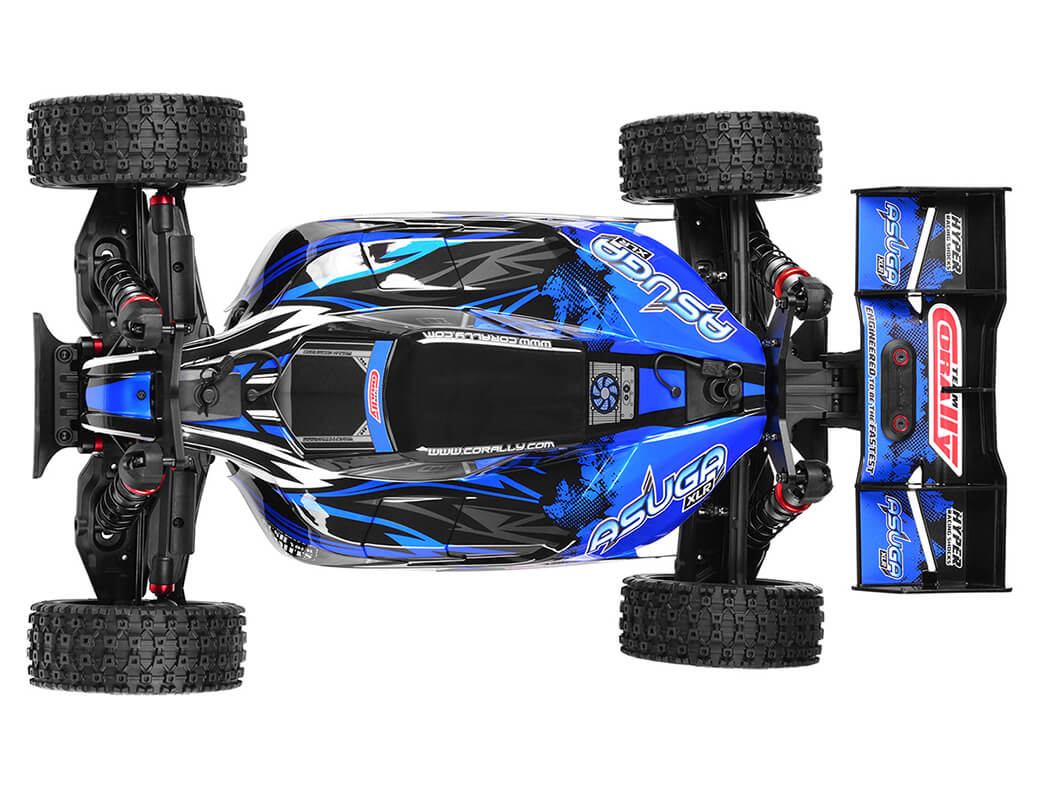 CORALLY ASUGA XLR 6S BRUSHLESS BUGGY RTR - BLUE
