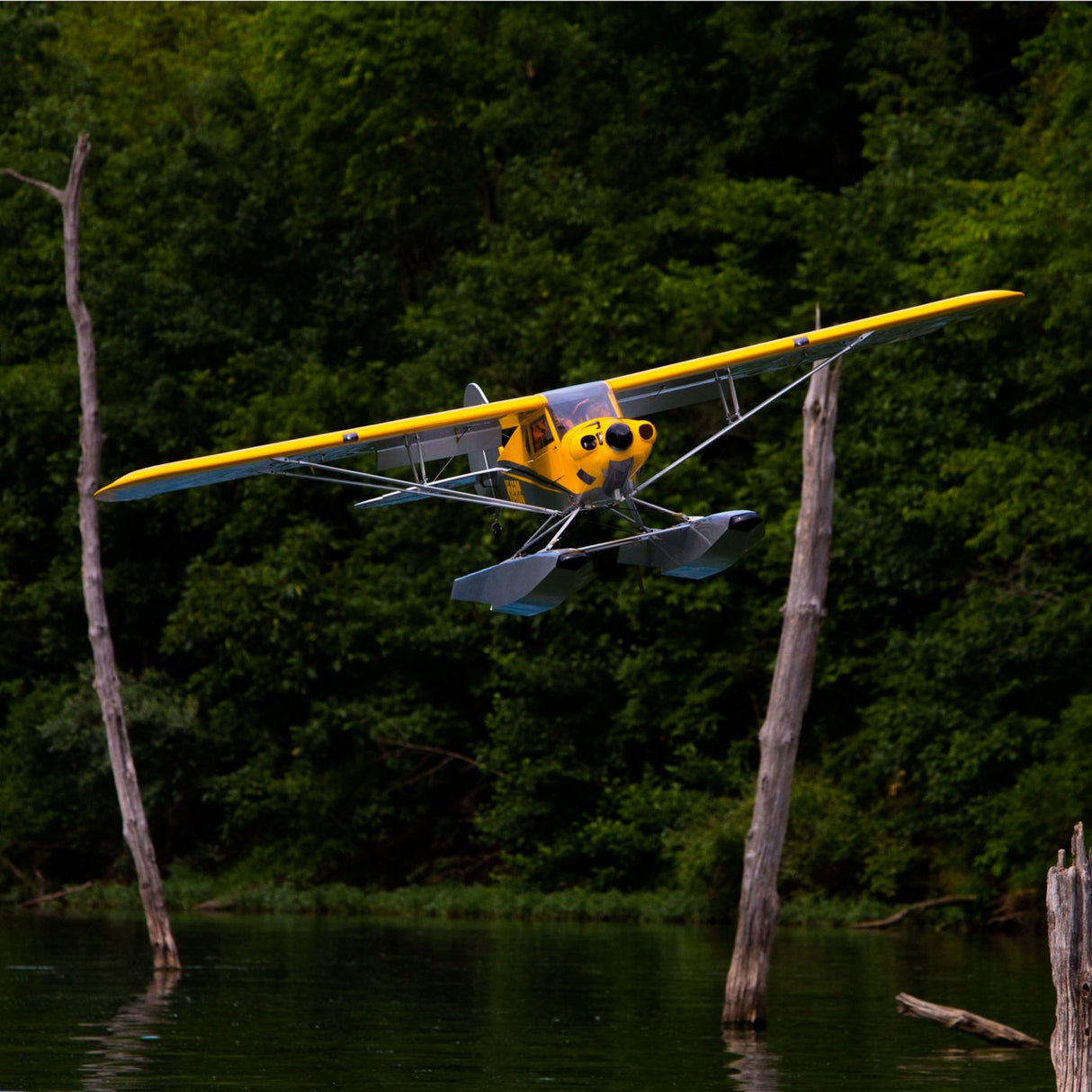 Hangar 9 Carbon Cub 15cc ARF