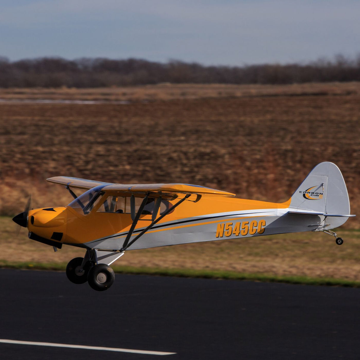 Hangar 9 Carbon Cub 15cc ARF