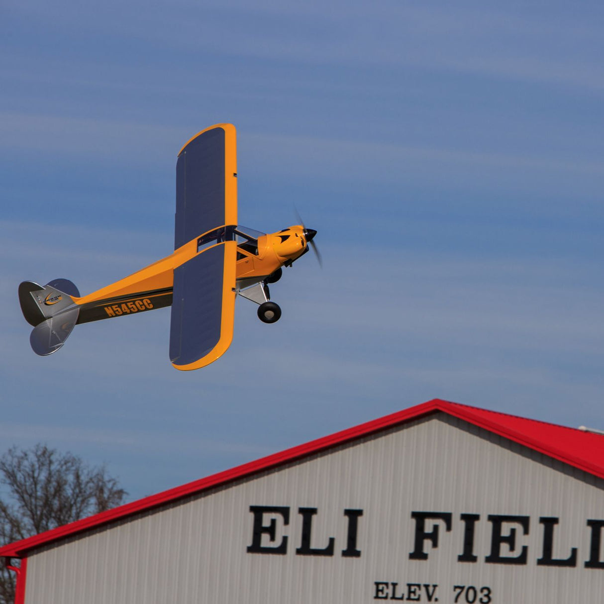 Hangar 9 Carbon Cub 15cc ARF