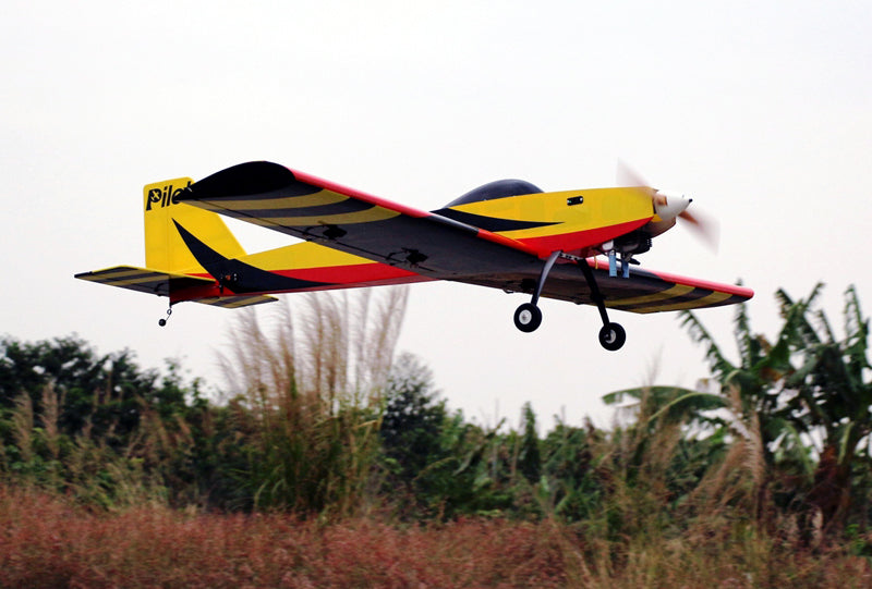 Sport Trainer Red Eagle (01)