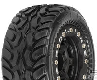 PROLINE DIRT HAWG MOUNTED ON TITUS BLACK FOR E-REVO 1/16