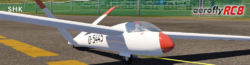 Ikarus Aerofly RC8 DVD - USB Interface and Single Line Converter (Windows)