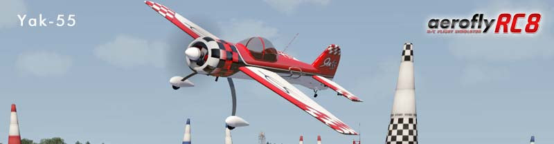 Ikarus Aerofly RC8 DVD - USB Interface and Single Line Converter (Windows)