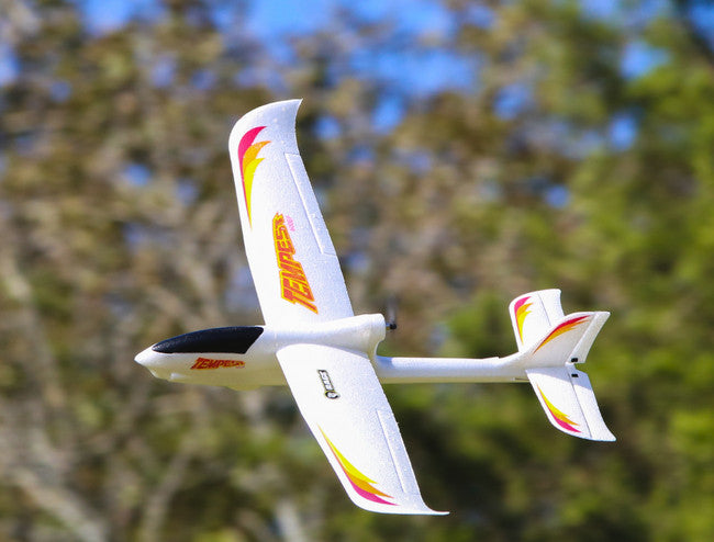 Rage Tempest 600 EP – 4 channel ready to fly aircraft (60cm wingspan)