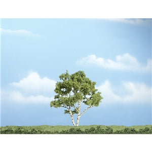3 7/8 Inch Premium Birch (1/Pk)