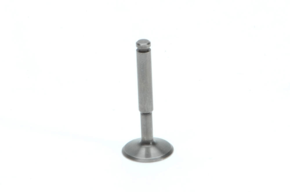 Intake Valve - FSa56