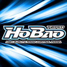 HoBao