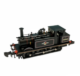 Terrier A1X 32662  BR Black Late Crest
