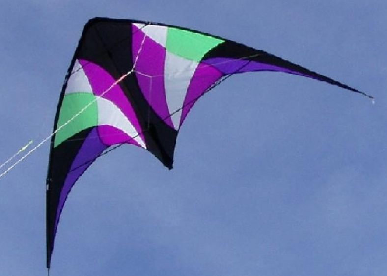 Didak Wizzard Kite 23245