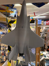 Knights 3D Printed F-35 With FMS FAN escs and servos 59.5cm span