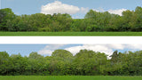 P149 A PREMIUM 00 GAUGE TREES