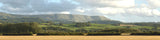 242 HARVEST HILLS 00 15 HIGH BACKSCENE