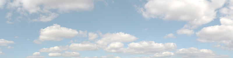501A SUMMER SKY 00 15 HIGH BACKSCENE
