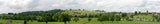 N203 VILLAGE N GAUGE 9 BACKSCENE
