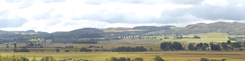 206 A HILLS & DALES 00 15 HIGH BACKSCENE